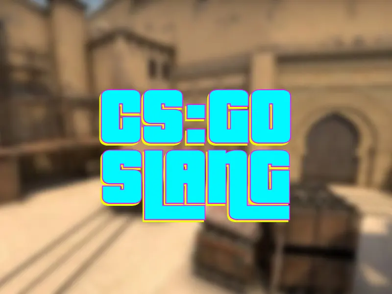 CSGO Slang